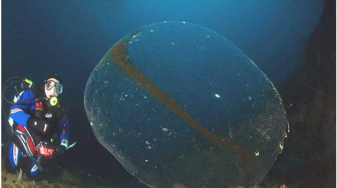 Lavora con noi - Punta Campanella Diving Sorrento