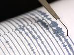 sismografo-terremoto-scossa-scosse_650x447.jpg