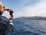 rolex-capri-sailing-week-3221499