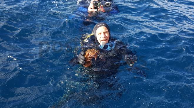 Bonifica fondali penisola sorrentina, tra reti e nasse spunta anche un ordigno bellico