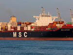 MSC Gayane