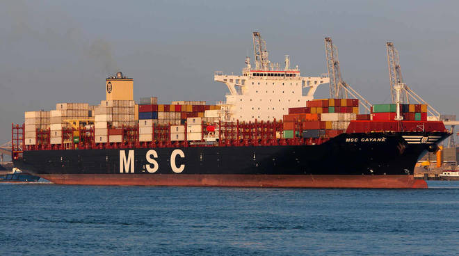 MSC Gayane