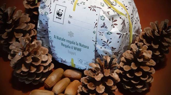 Oggi, appuntamento a Sant\'Agnello per iscriversi al Wwf