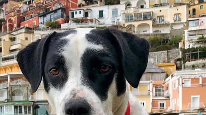 Gioia Positano