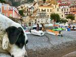 Gioia Positano