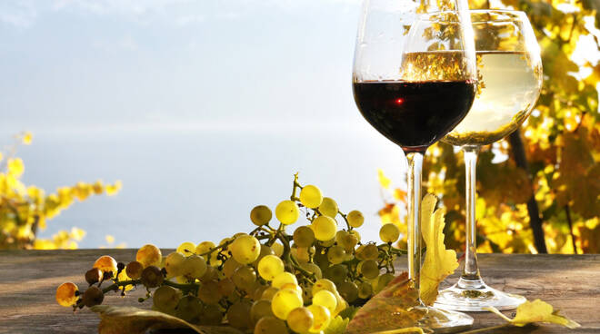 Tour e degustazione di vini Costa d'Amalfi