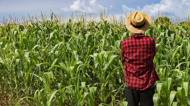 Contributi per l’imprenditoria giovanile in agricoltura. Di che si tratta e chi può beneficiarne