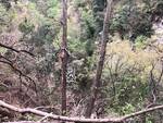 Frana alla Valle delle Ferriere, chiuso il sentiero fra Scala e Amalfi