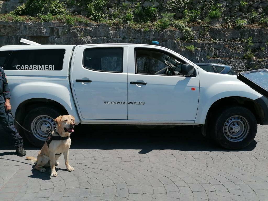 Carabinieri antiveleno di Tramonti in azione a Positano