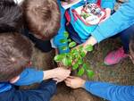 Positano, la scuola aderisce al progetto del Corpo Forestale: gli alunni di quarta posizionano nuove piante in località Fiosse