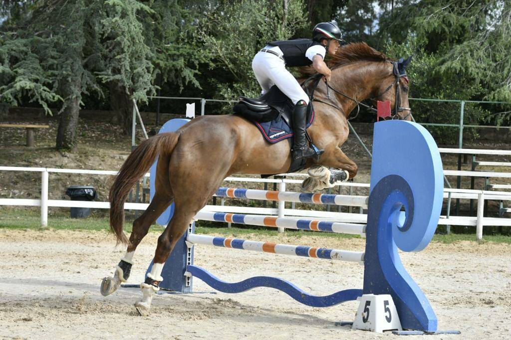 Un'altra medaglia d'oro per Salvatore Pollio: il cavaliere di Sorrento il più veloce dei Campionati regionali