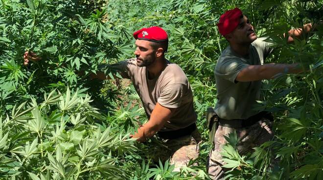 Gragnano e Agerola: Carabinieri impegnati nell’operazione Green Life tra abusivismi e droga. Un’intera famiglia denunciata