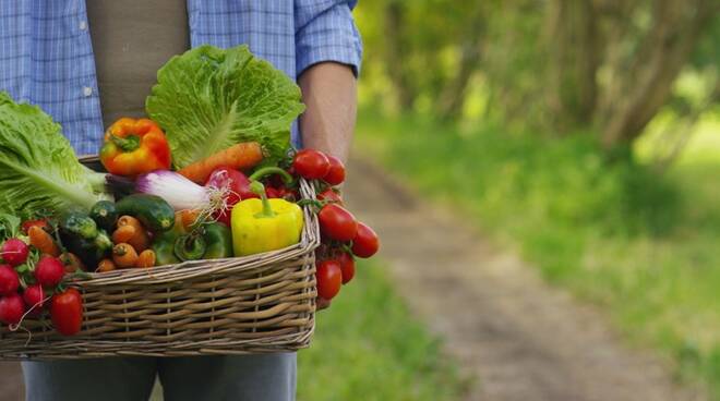 Meta, Farmacia Elifani: "Frutta e verdura quasi assenti sulle tavole degli italiani"