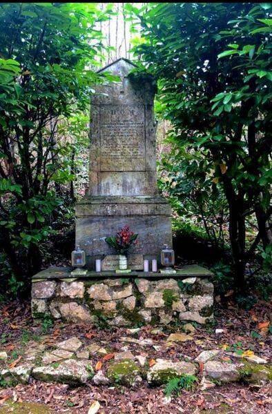 Piano di Sorrento, il racconto del lunedì del Prof. Ciro Ferrigno: "Il pungitopo di Casanocillo"