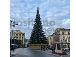 Sorrento è al fianco dell'isola di Ischia. Rinviata l'accensione dell'albero di Natale e delle luminarie