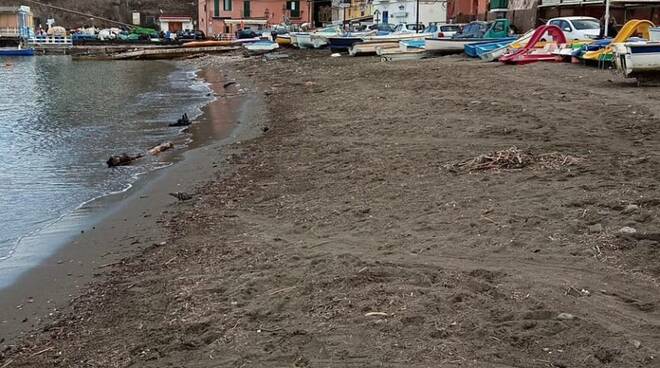 Sorrento, ripulite le spiagge dai rifiuti. Luigi Di Prisco: "Se lo facessero tutti il Golfo di Napoli sarebbe più pulito"