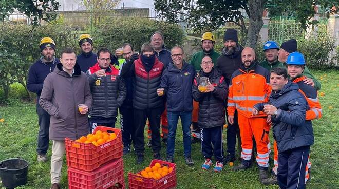 SorrentoOrangeWeek. Al via la raccolta delle arance ai giardini pubblici di Montariello