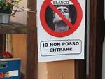 Blanco distrugge le rose a Sanremo, fioraio del Cilento gli vieta l'ingresso in negozio