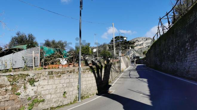 Tragedia sfiorata a Piano di Sorrento: potati gli alberi in via Gennaro Maresca, crolla un troncone