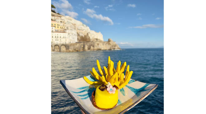 Amalfi, per la festa della donna arriva la dolce "Mimosa" innovativa della storica Pasticceria Pansa