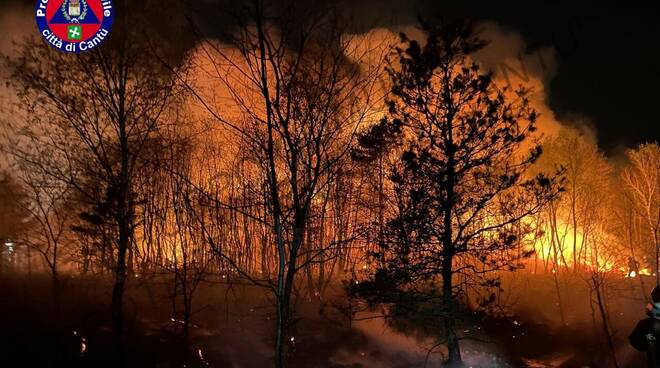 incendio parco delle groane