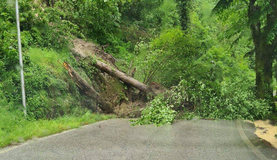 alluvione emilia romagna