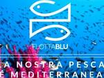 flotta blu