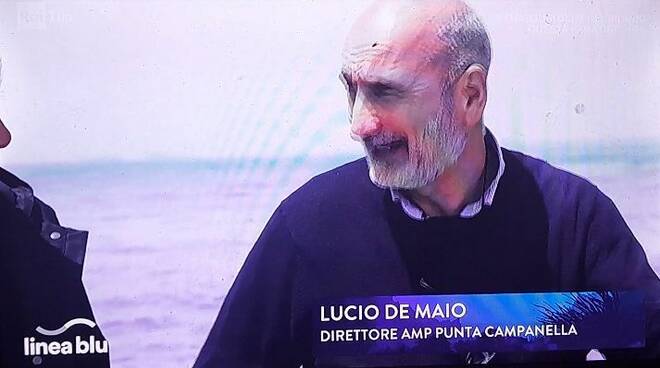 LUCIO DE MAIO - PUNTA CAMPANELLA