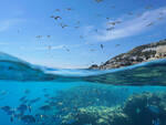 Mar mediterraneo