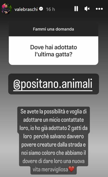 post di Valerio sul gatto