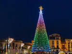 albero natale sorrento