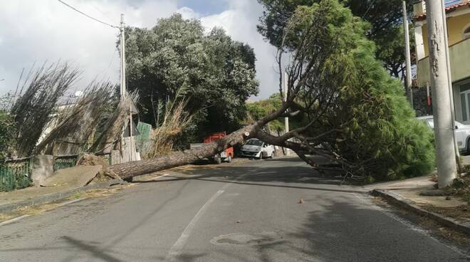 Sfiorata tragedia Forio ischia PINI