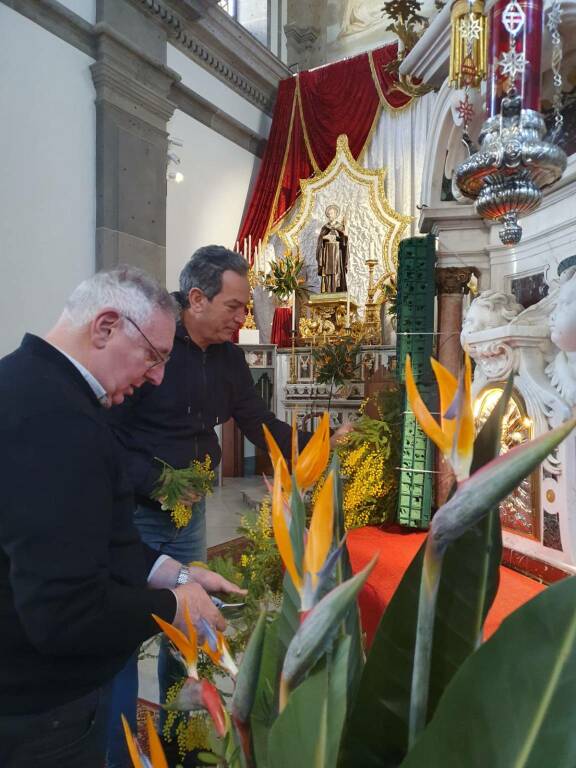 Fiori per San Ciro a Vico equense 