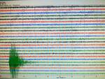 scossa sismica scosso vesuvio, foto tratta da Foto tratta da http://portale2.ov.ingv.it/