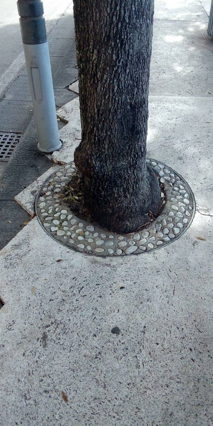 eco positano pulizia