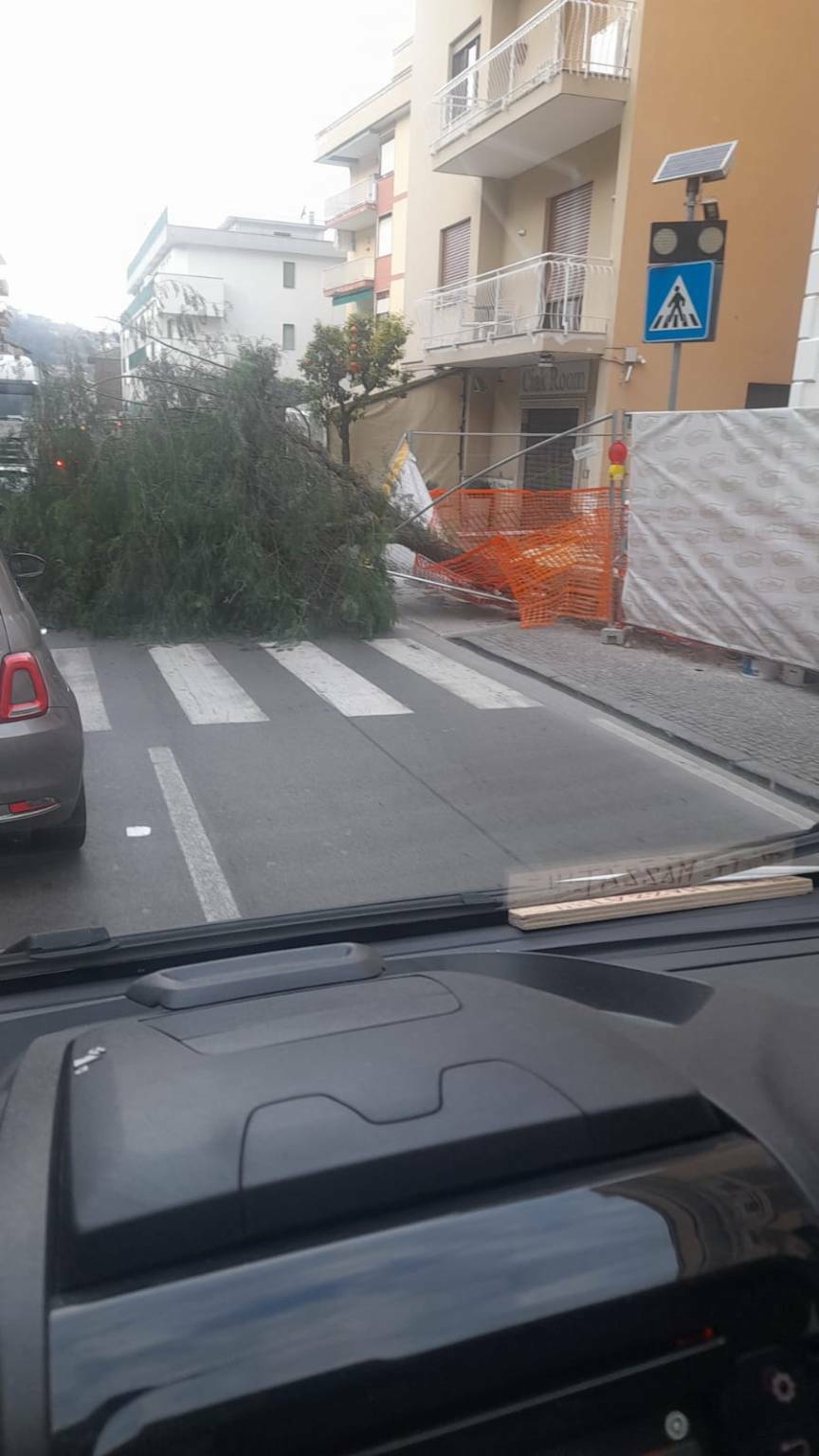 Sorrento albero caduto sulla carreggiata