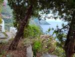 cimitero positano