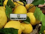 limone sorrento