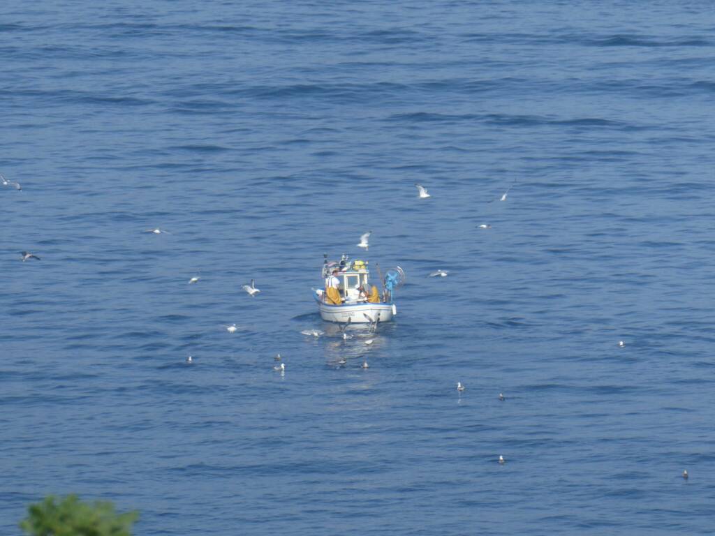 Il mare di oggi: Il Golfo di Sorrento tra lusso e tradizione