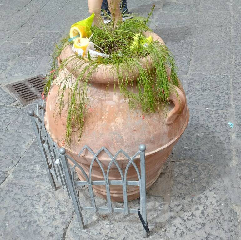 amalfi limoni farciti da asporto lasciati in strada