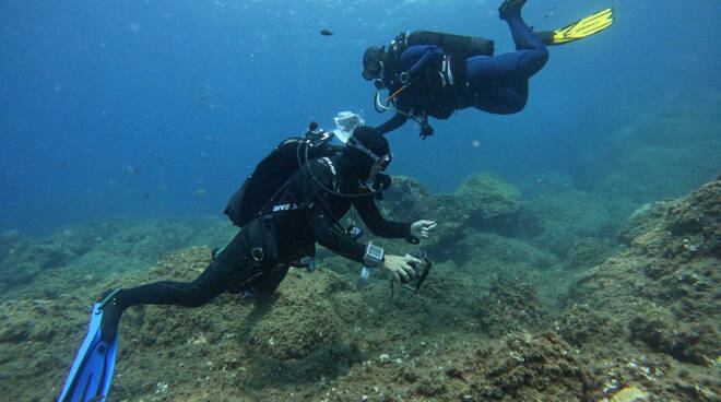 Ambiente: Sorrento ha ospitato la prima edizione di “BioWatching nel Blu”