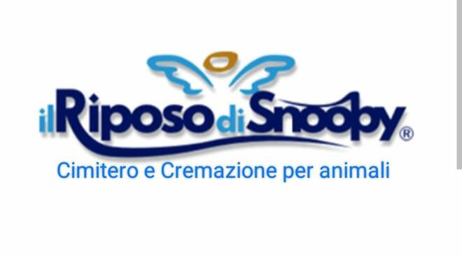 Il Riposo di Snoopy: Un Luogo di Pace per il Tuo Cane, Gatto o Amico Animale