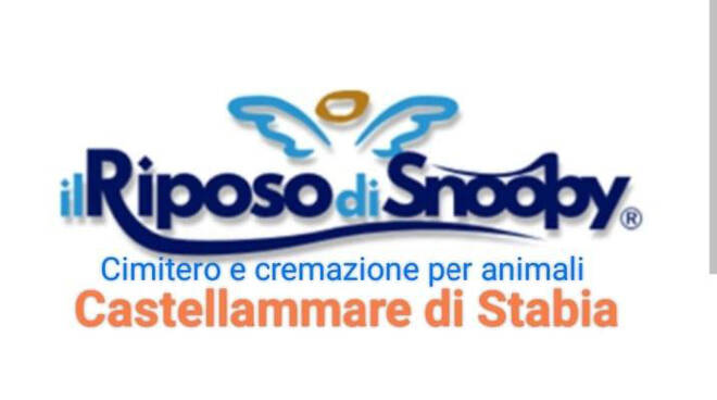 riposo di snoopy